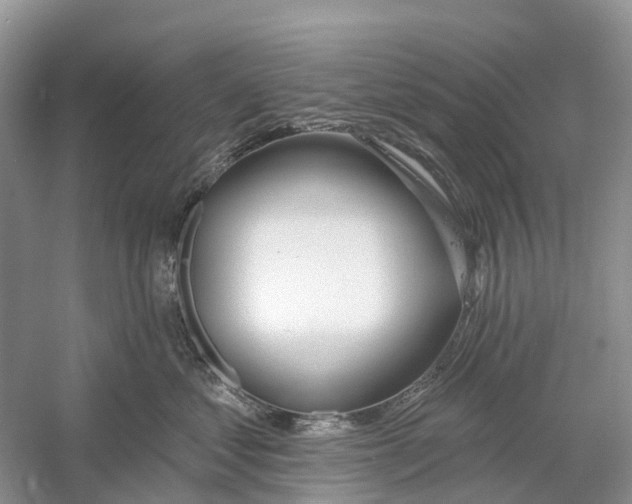 X0000059790621200511181450