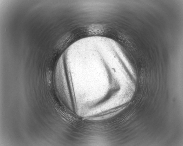 X0000059790649200511181449