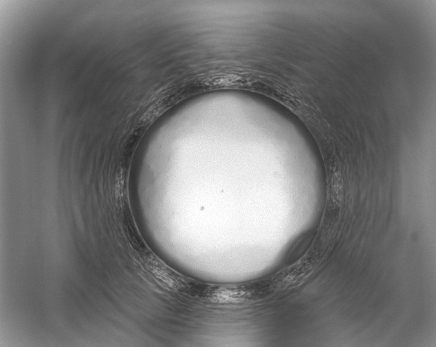X0000059790657200511181449