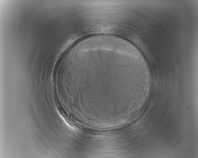 X0000059790674200511181449