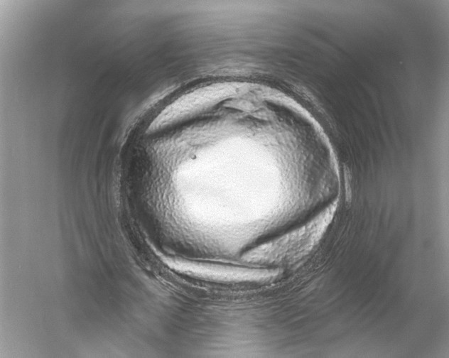 X0000059790675200511181449