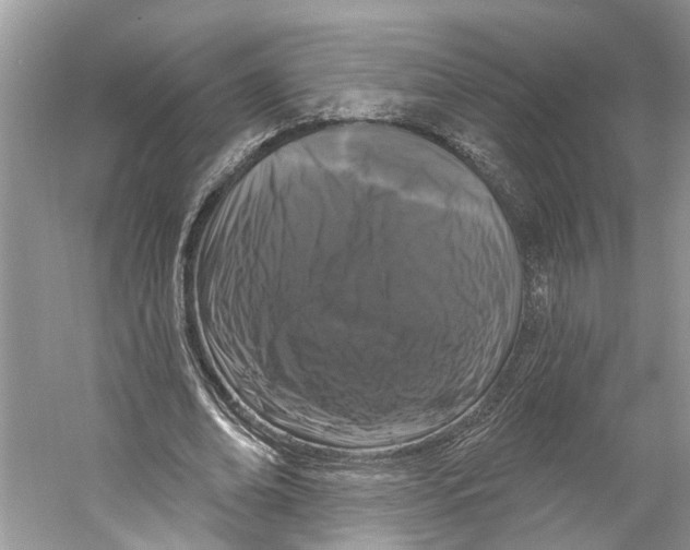 X0000059790678200511181449