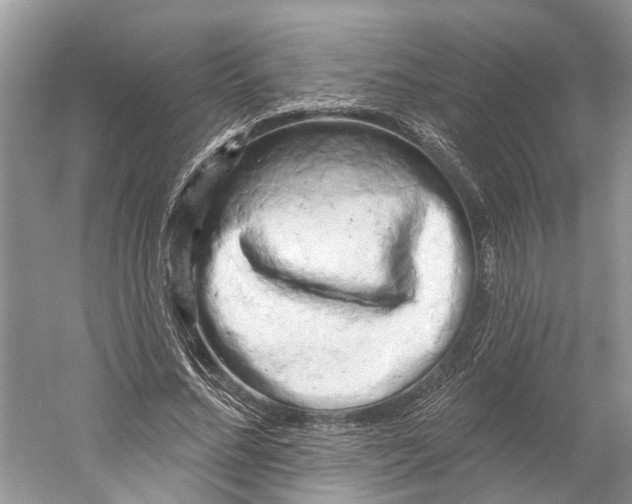 X0000059790684200511181449