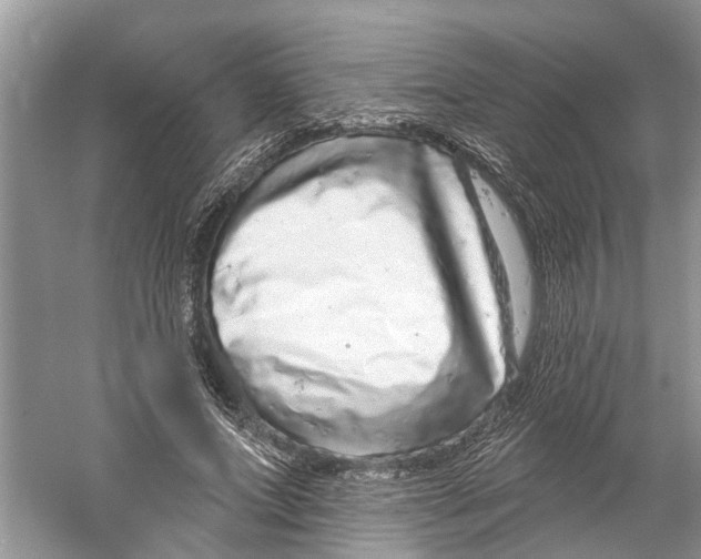 X0000059790687200511181449
