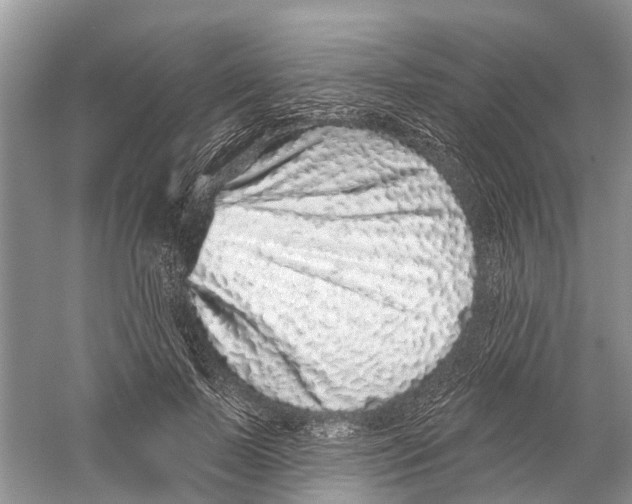 X0000059790695200511181448