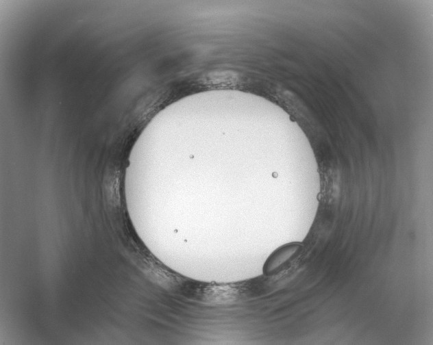 X0000059790717200511181448
