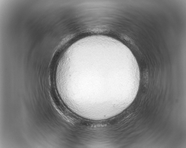 X0000059790734200511181447