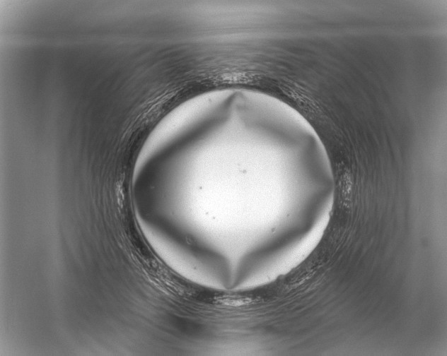 X0000059790746200511181448