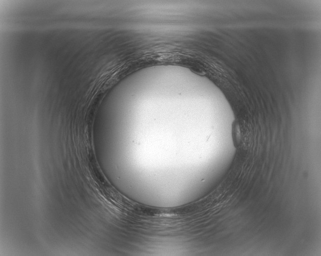 X0000059790748200511181448