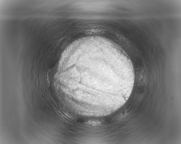X0000059790749200511181448