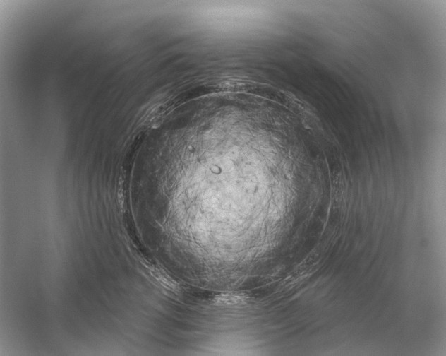 X0000059790762200511181448