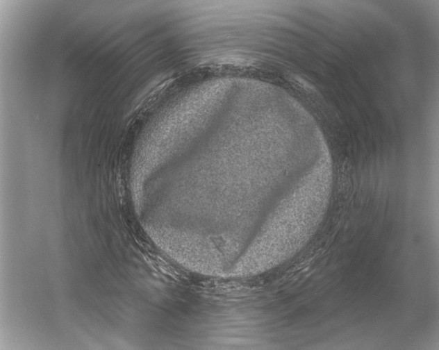 X0000059790774200511181447