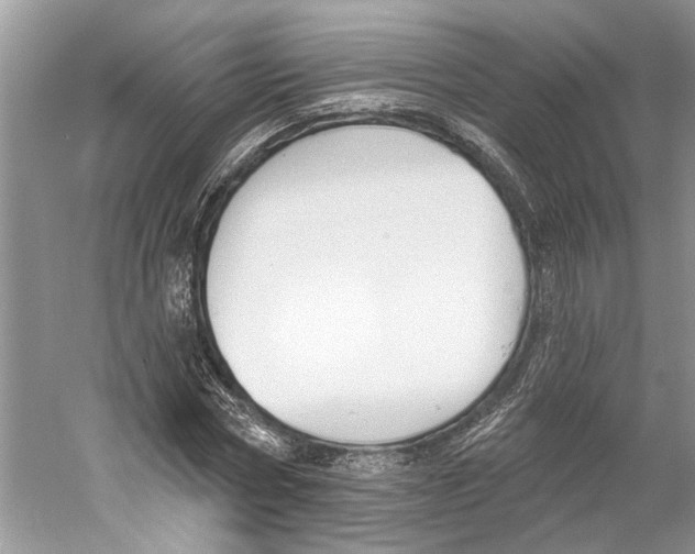 X0000059790778200511181447