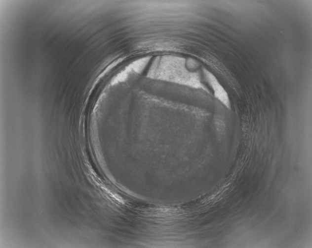 X0000059790790200511181447