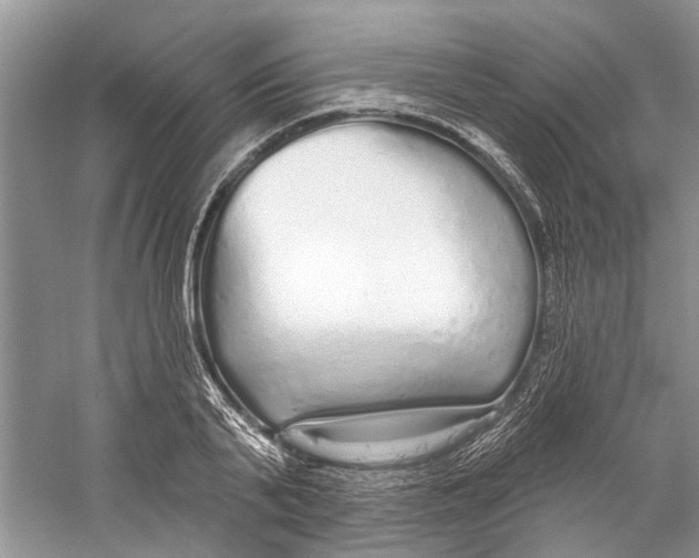 X0000059790791200511181447