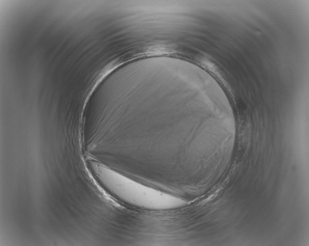 X0000059790810200511181447