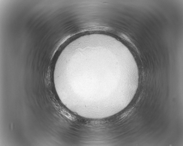 X0000059790875200511181445