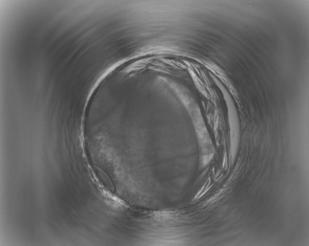X0000059790904200511181445