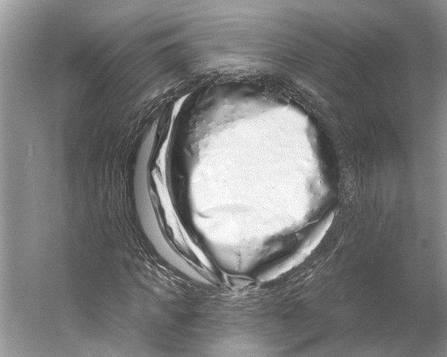 X0000059790917200511181444