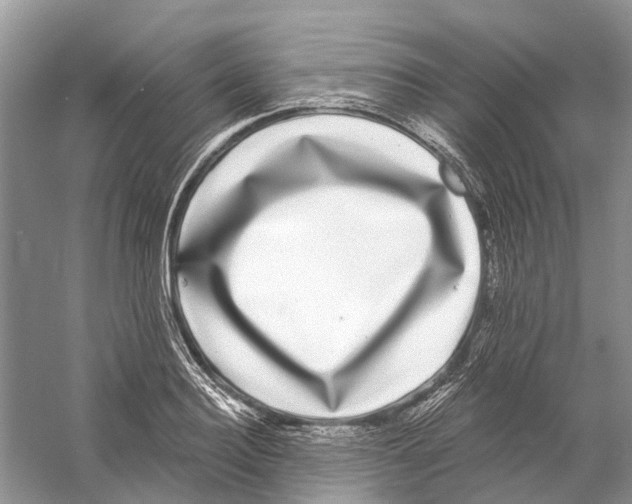 X0000059790940200511181444
