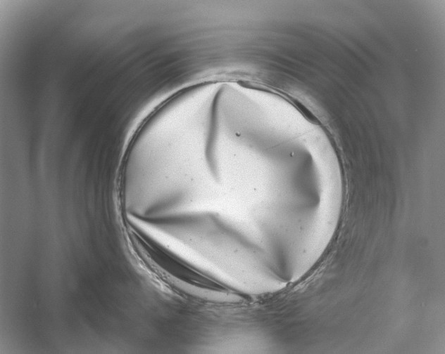 X0000059790960200511181445