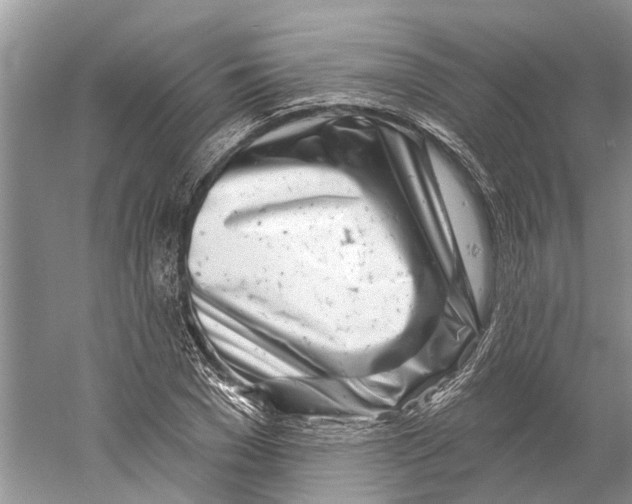 X0000059790977200511181444