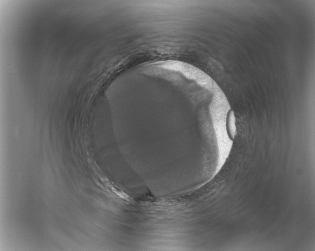 X0000059791009200511181442