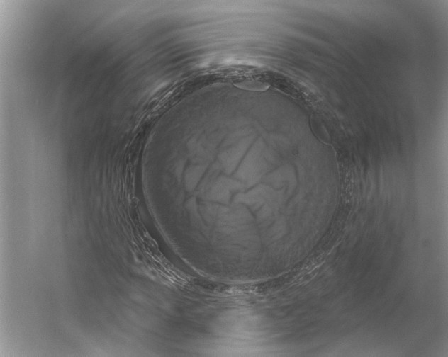X0000059791013200511181442