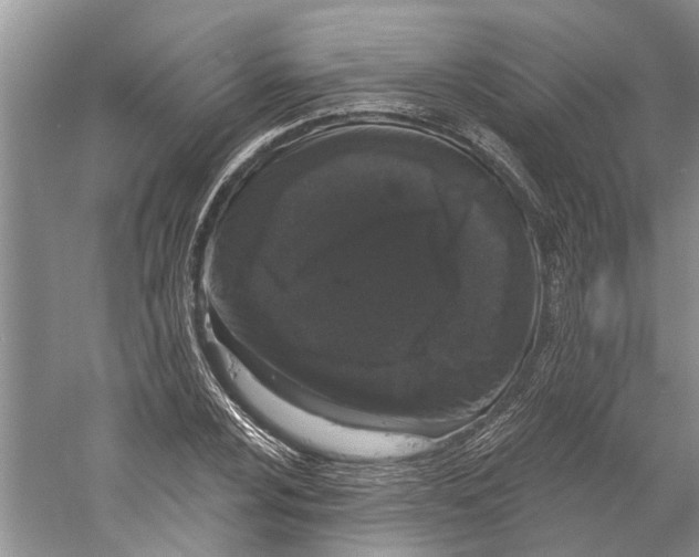 X0000059791024200511181443
