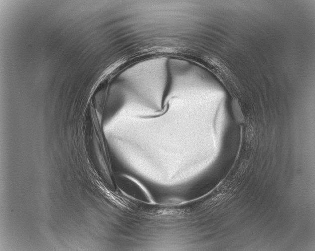 X0000059791026200511181443
