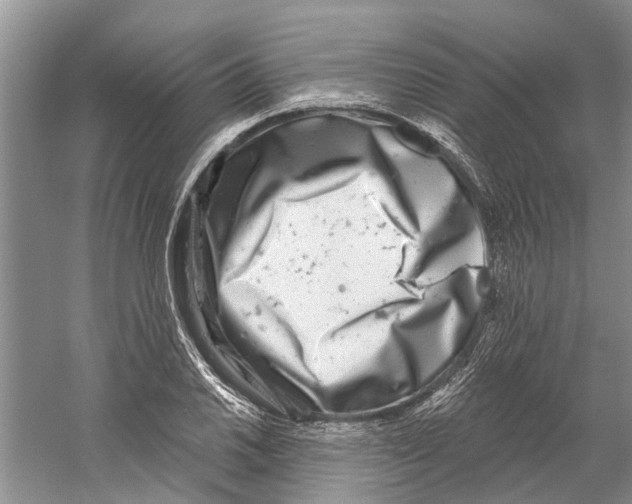X0000059791030200511181443