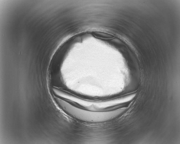 X0000059791048200511181443
