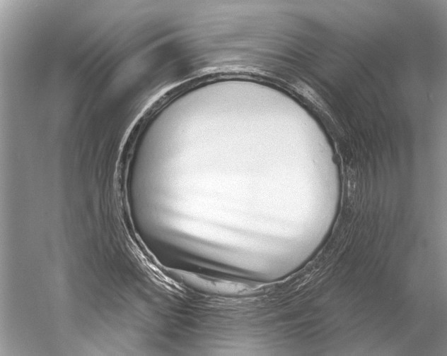 X0000059791068200511181442