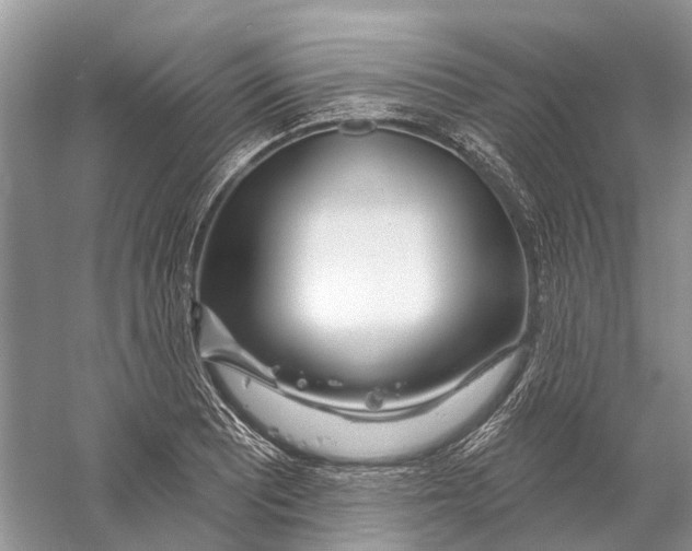 X0000059791081200511181442