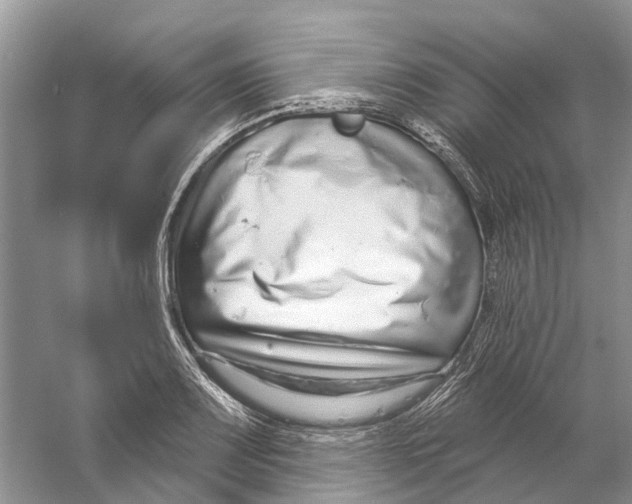 X0000059791083200511181442