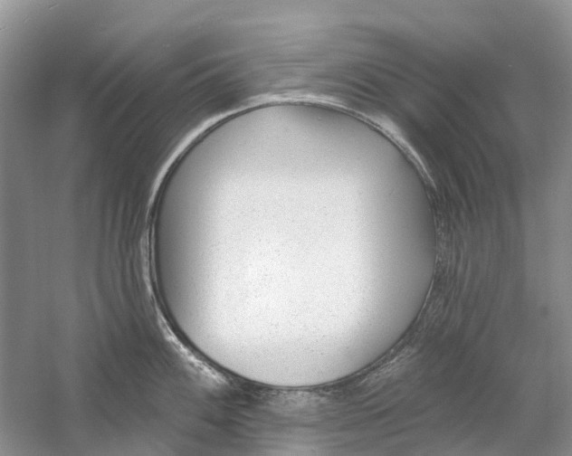 X0000059791100200511181442