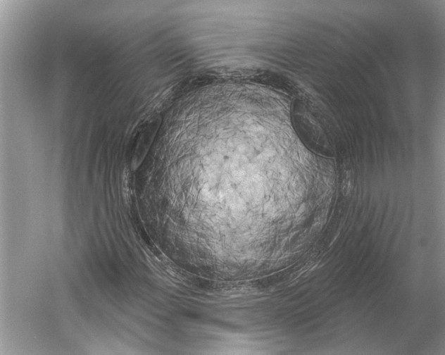 X0000059791108200511181441