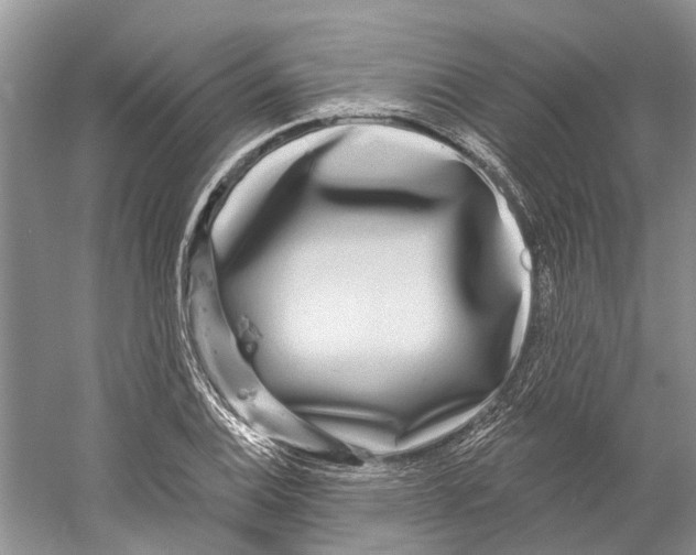 X0000059791124200511181441