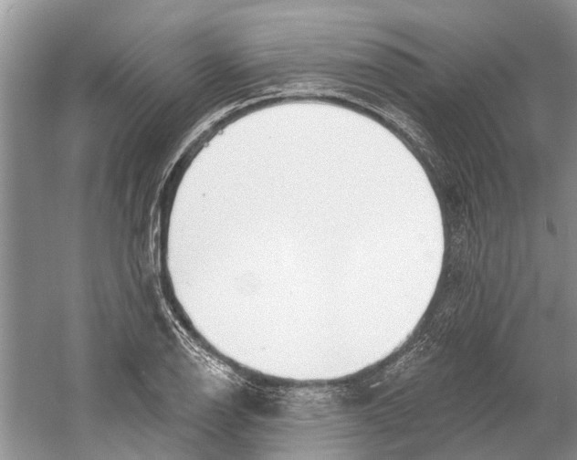 X0000059791126200511181441