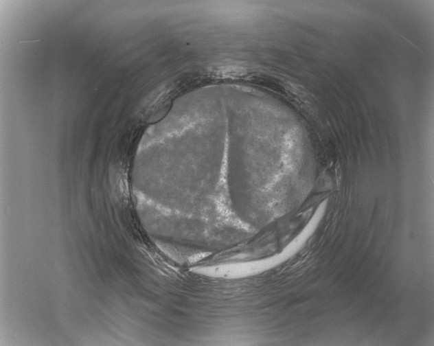 X0000059791155200511181441