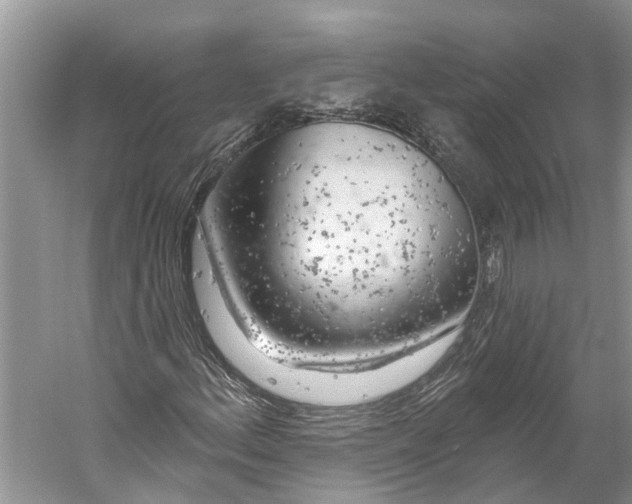 X0000059791156200511181441