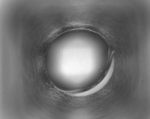 X0000059791157200511181441