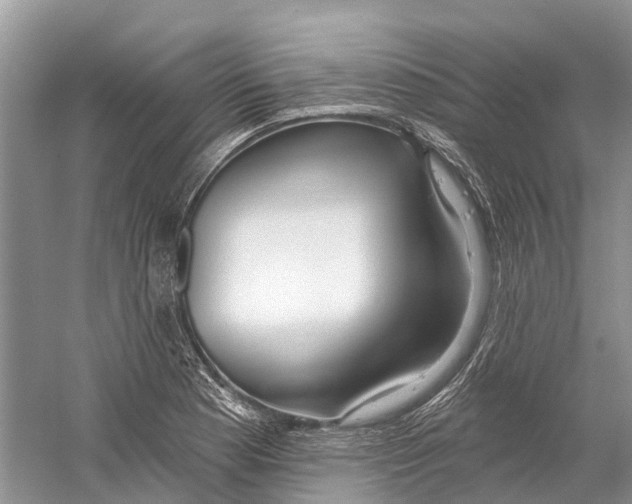 X0000059791177200511181440