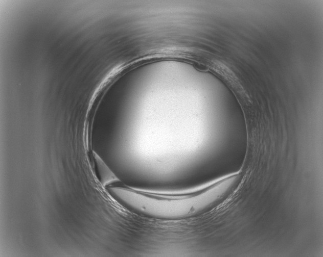 X0000059791180200511181440