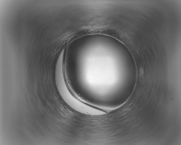 X0000059791300200511181437