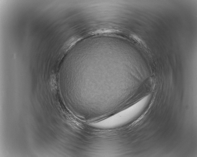 X0000059791353200511181437