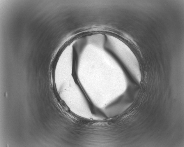 X0000059791368200511181437