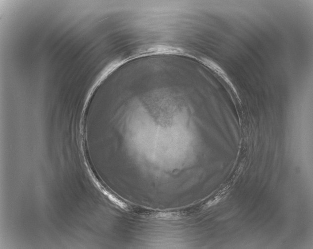 X0000059791381200511181437