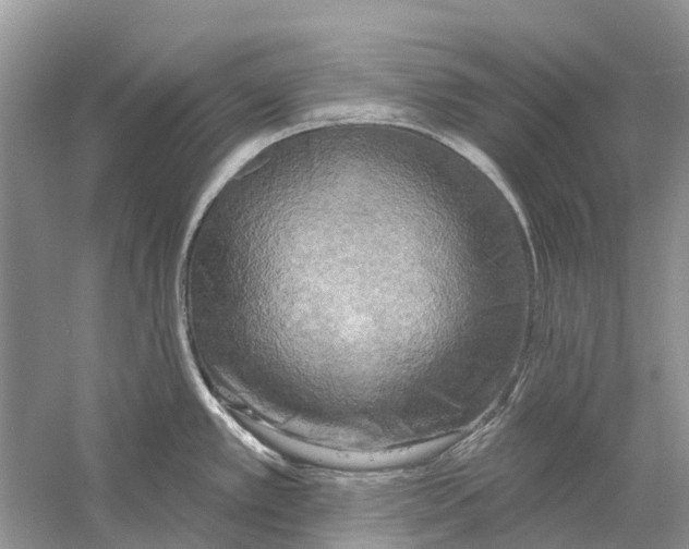 X0000059791389200511181437