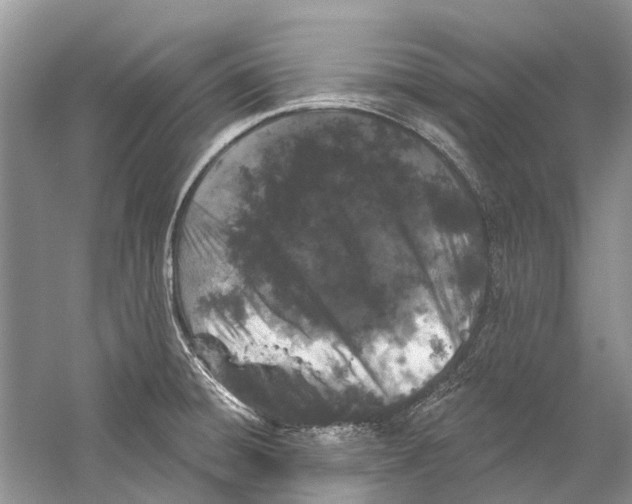 X0000059791428200511181436